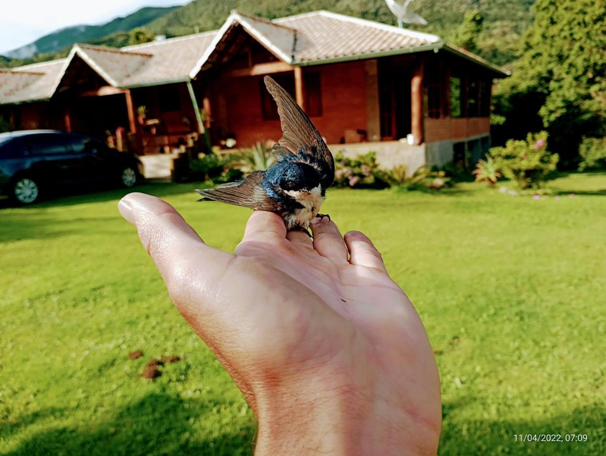 伊塔蒙蒂Refugio Mantiqueira - Parte Alta Parque Nacional Itatiaia别墅 外观 照片